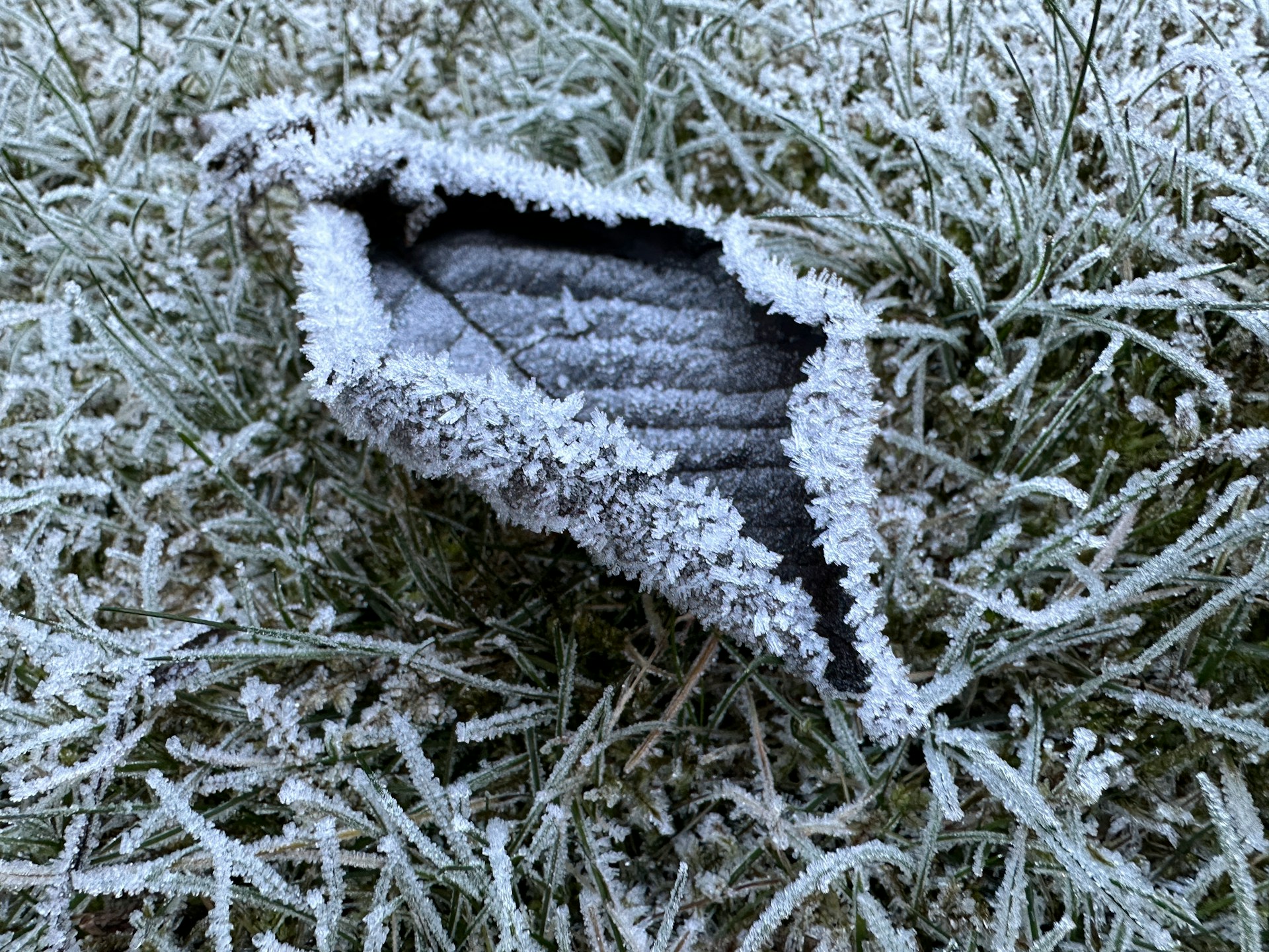 Frozen Pensions? Research shows £25,000 UK pension loss